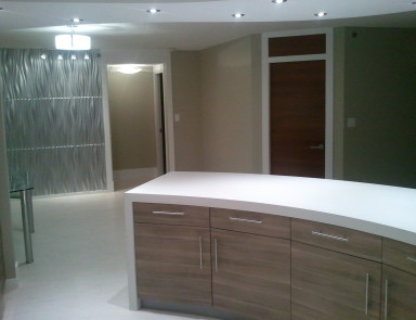 Kitchen Renovation