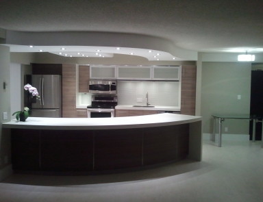 Open Concept Kitchen Designs